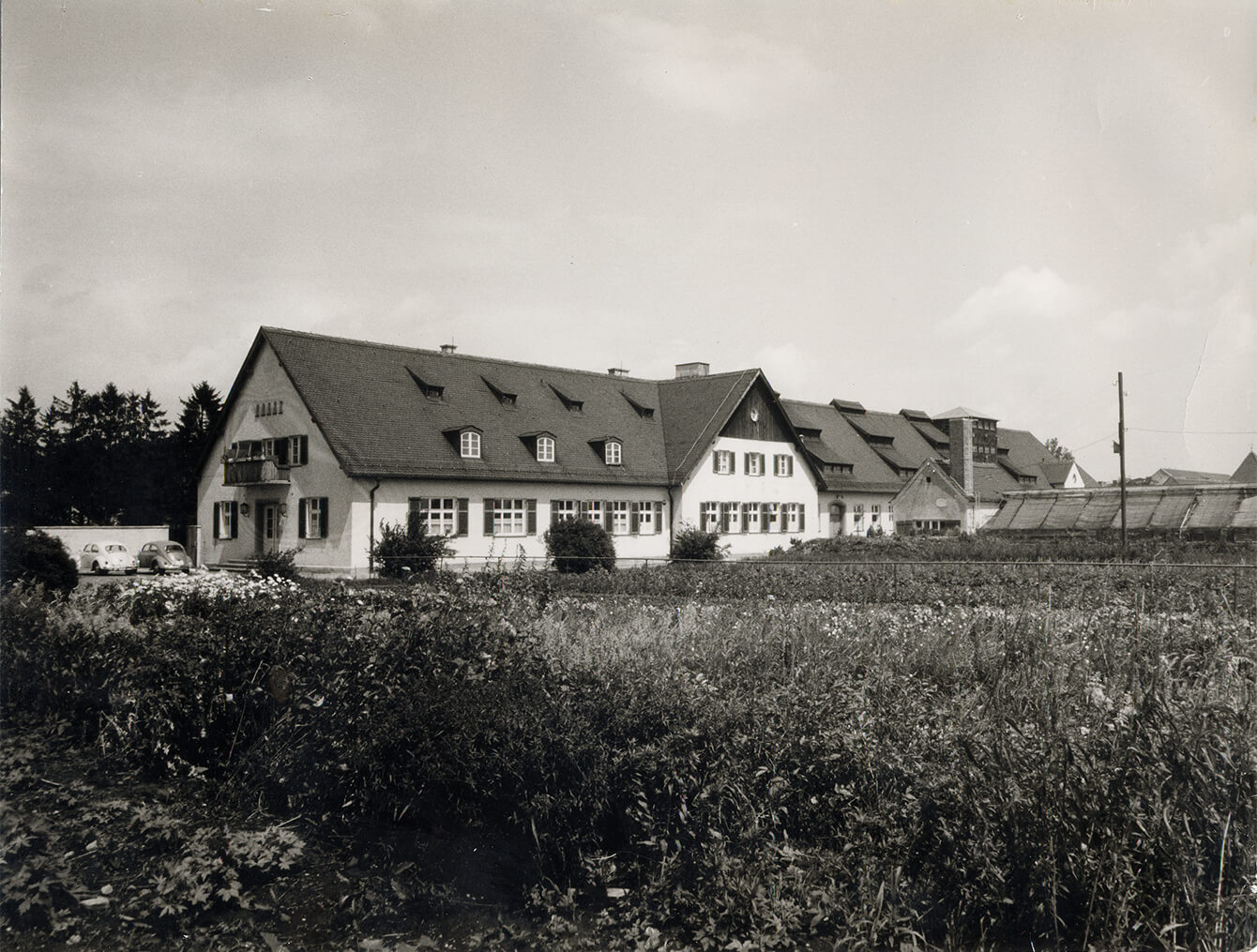 Hauptgebäude der Plantage und Gewächshäuser unmittelbar nach Kriegsende